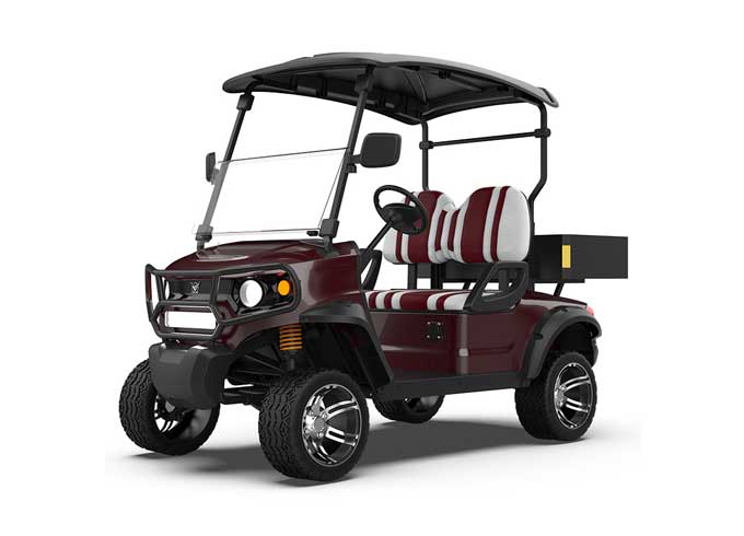 How to Safeguard Your Electric Golf Buggy During Winter