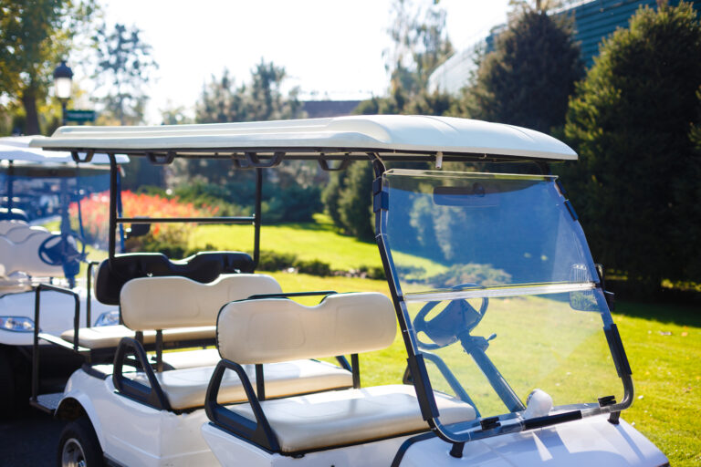 4+2 Seater with 4 Forward Facing Seat Golf Cart: The Best Investment