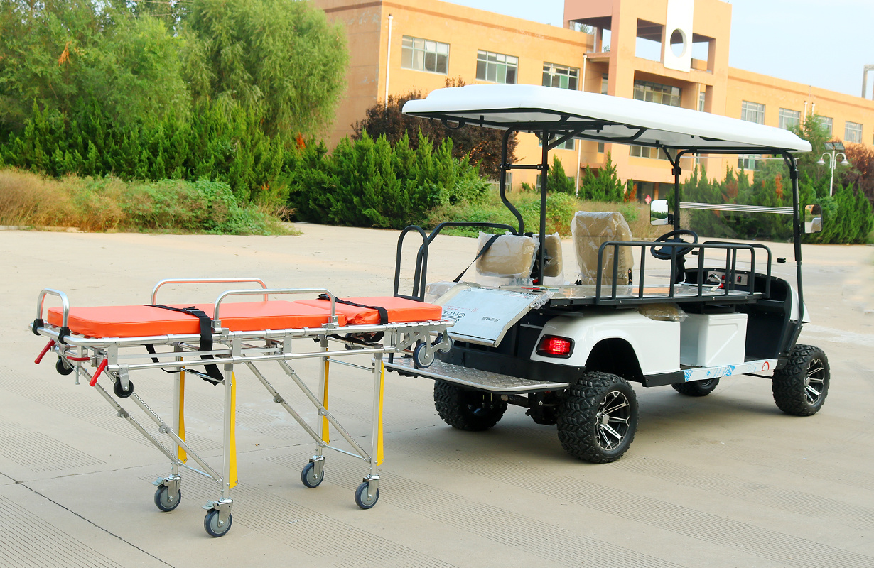 kinghike golf cart