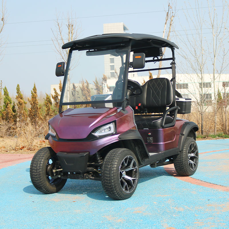 2 seats electric golf cart