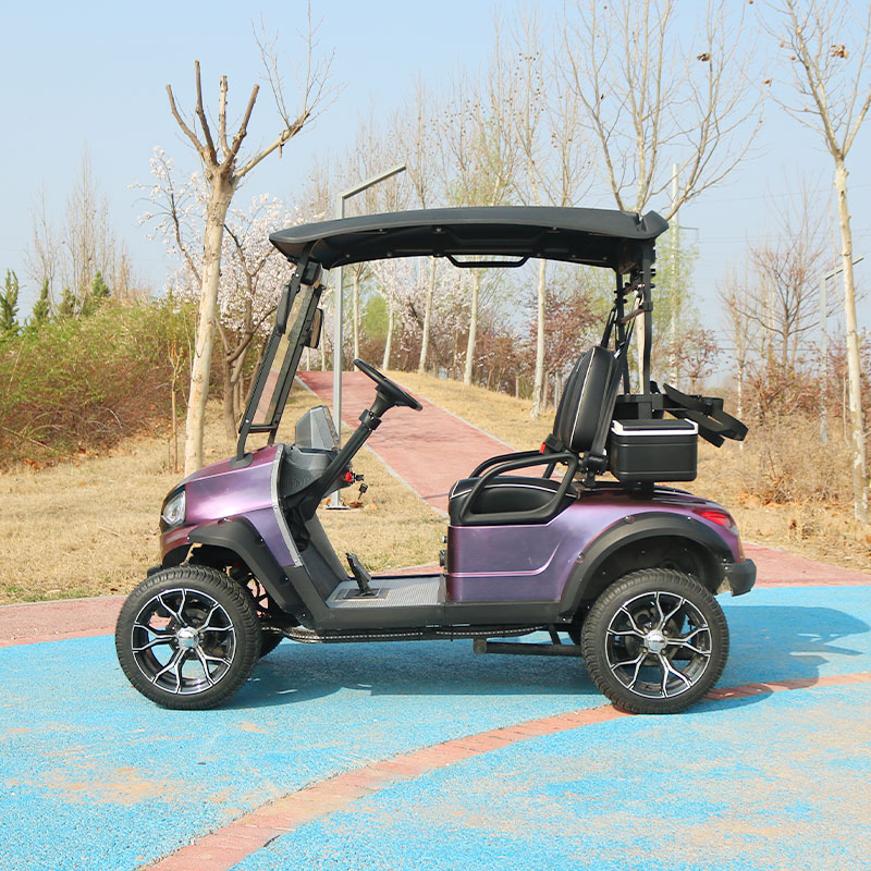 2 seats electric golf cart