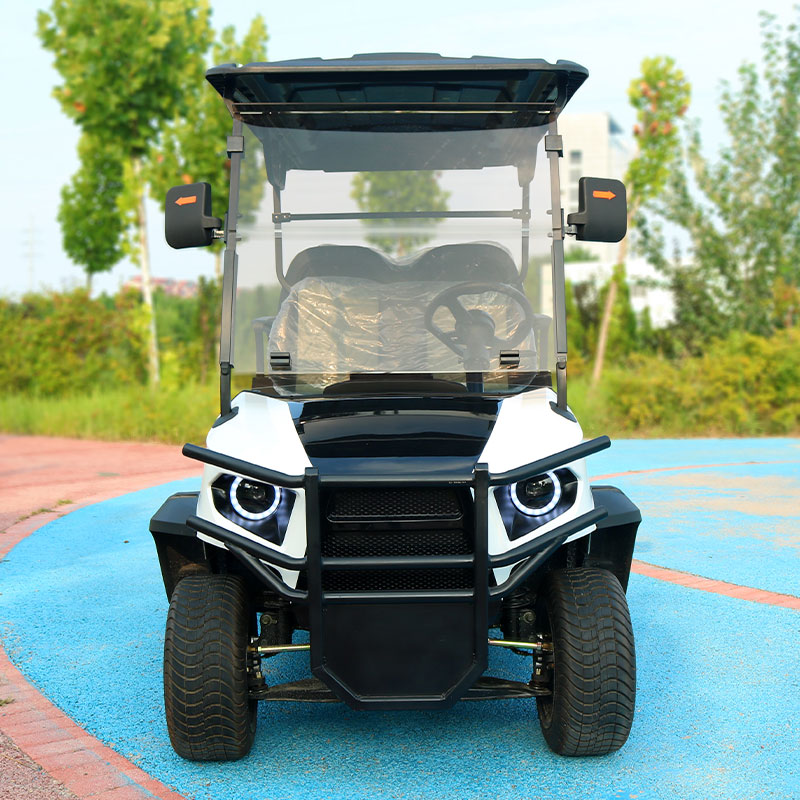 Electric Golf Cart